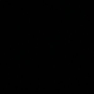 Meet your Posher, Chase